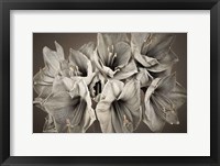 Grand Floral Fine Art Print