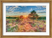 Heathland Sunset Fine Art Print