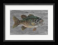 Clear Water Beauty Fine Art Print