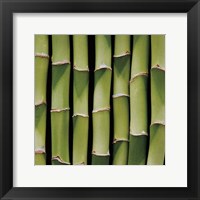 Bamboo Lengths Fine Art Print