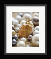 Sea Jewels III Fine Art Print