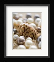 Sea Jewels IV Fine Art Print