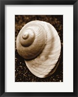 Sea Gallery II Fine Art Print