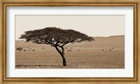 Serengeti Horizons I Fine Art Print