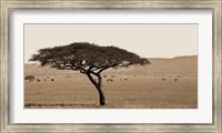 Serengeti Horizons I Fine Art Print