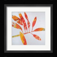 Tropical Landscape II Framed Print