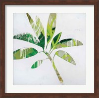 Tropical Landscape IV Fine Art Print