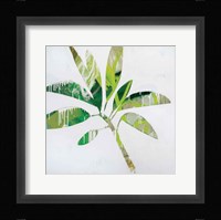 Tropical Landscape IV Fine Art Print