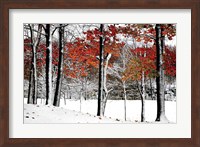 SnowFall Fine Art Print