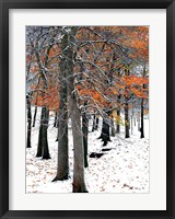 SnowFall II Fine Art Print