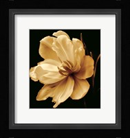 Timeless Grace III Fine Art Print