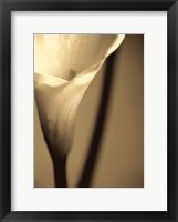 Divinity I Fine Art Print