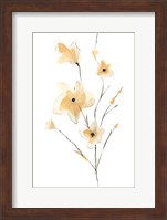 Morning Glory II Fine Art Print