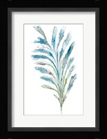 Reach II Fine Art Print