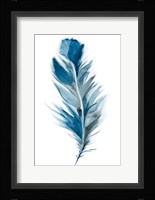 Midnight I Fine Art Print