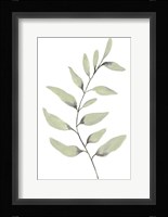 Lulu I Fine Art Print