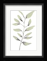 Lulu II Fine Art Print