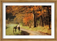 Autumn's Morning Light Fine Art Print