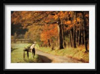 Autumn's Morning Light Fine Art Print