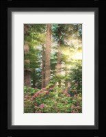 Rise 'n' Shine II Fine Art Print