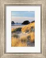 Dune Grass And Beach II Fine Art Print