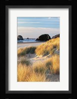 Dune Grass And Beach II Fine Art Print
