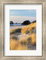 Dune Grass And Beach II Fine Art Print