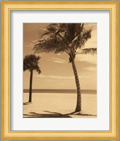 Palm Beach I Fine Art Print