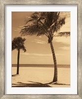 Palm Beach I Fine Art Print