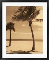 Palm Beach I Fine Art Print