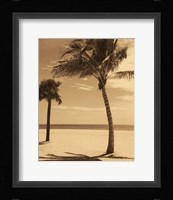 Palm Beach I Fine Art Print