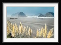 Pampas Beach Fine Art Print