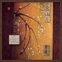 Oriental Blossoms II Fine Art Print