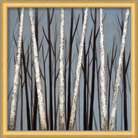 Birch Shadows Fine Art Print