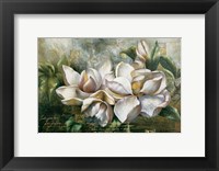 Dawning Magnolias Fine Art Print