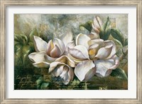 Dawning Magnolias Fine Art Print