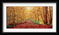 Autumn Dream Fine Art Print