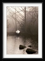 Silvered Morning Pond Fine Art Print