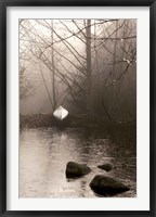 Silvered Morning Pond Fine Art Print
