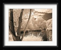 Lakefront View I Fine Art Print