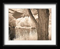 Lakefront View II Fine Art Print