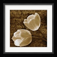 With Love I Fine Art Print