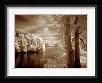 A View To Remember Fine Art Print