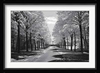 Sublime Fine Art Print