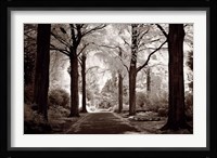 Arcadia Fine Art Print