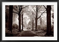 Arcadia Fine Art Print