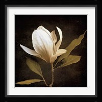 Grandeur Fine Art Print