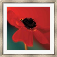 Red on Turquoise Fine Art Print