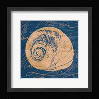 By the Seashore IV Framed Print