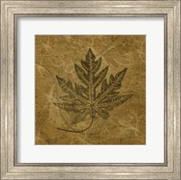 Leaves of Summer Fine Art Print